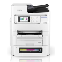 epson-c8101r